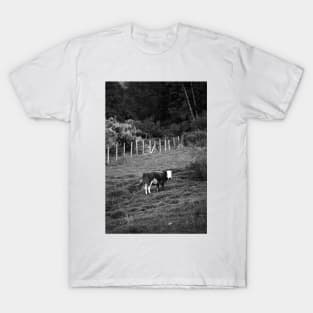 Cow (black and white) T-Shirt